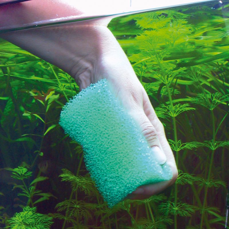 JBL ProScape Gant de nettoyage pour vitre d'aquarium