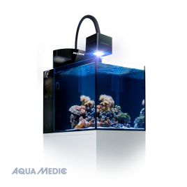 Aquariums marin et récifal toutes marques,en vente ici ! - Aquariofil.com  et Poisson d'Or
