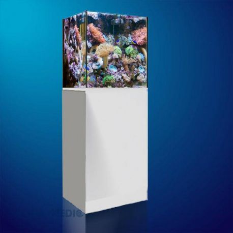 830+ Aquarium Design Eau De Mer HD Terbaik