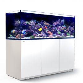 Reefer™ XXL 750 NOIR (Aqua + mbl)  4 099,00 €