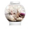 Oase biOrb aquarium CLASSIC LED 15 LED blanc