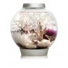 Oase biOrb aquarium CLASSIC 15 MCR argent