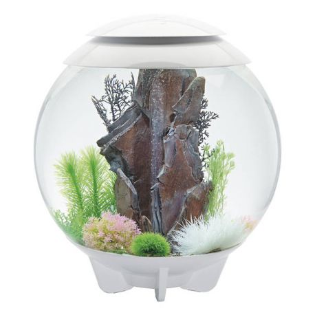 Décoration pour aquarium 30 l Oase 48445 - Aquariums - Achat & prix