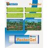 Superfish Poster gel 