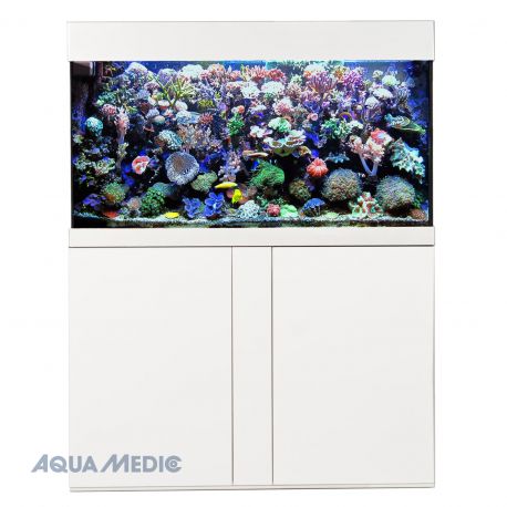 Aqua Medic Aquarium Magnifica 100 Blanc Aquarium Deau De Mer Complet Avec Meuble 21940 En Bon Dachats Corauxpoissons