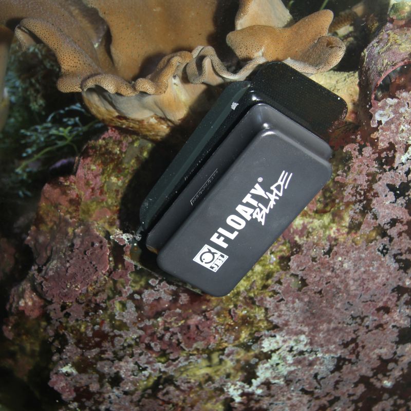 JBL Aimant à Algues pour D'aquarium, Moyen, (Lot de 1)