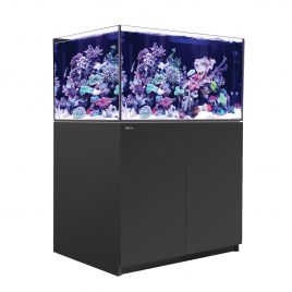 Aquariums Marin Et Recifal Toutes Marques En Vente Ici Aquariofil Com Et Poisson D Or