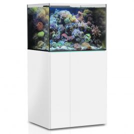 AquaMedic Armatus 300 XD blanc complet avec système de filtration + 125.90€ en bon d'achats coraux,poissons. 1 259,00 €