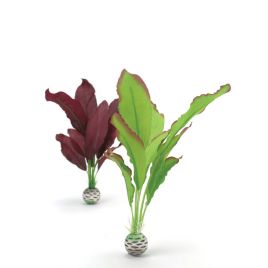 biOrb Set plantes M vertes & violettes 20,45 €