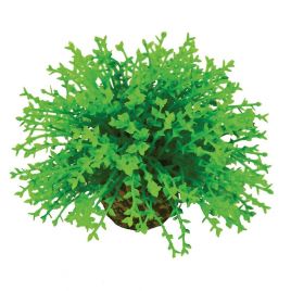 biOrb Boule topiaire verte 11,95 €