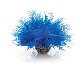 biOrb Lys de mer bleu 10,75 €