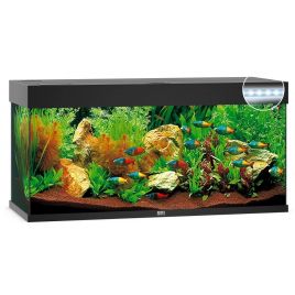 Aquarium Juwel sans meubles pour poissons d'eau douce - Aquariofil.com