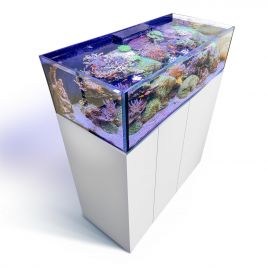 AquaMedic Armatus Lagoon 400 blanc 150 x 65 x 40 cm - 355 litres + 204€ en bon d'achats de vivant 2 040,00 €