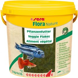 Sera Vipachips – Aliment de base complet sous forme de chips pour poissons  de fond : : Jardin