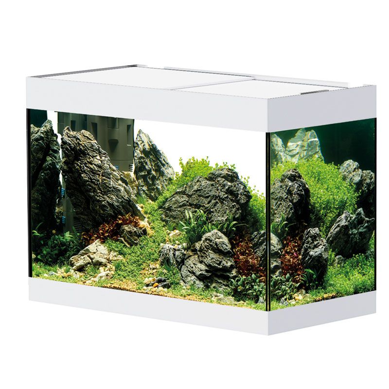 Acheter Nouveau Style 10 pièces qui brillent dans le noir galets pierre  artificielle passerelle Aquarium Aquarium réservoir de poissons