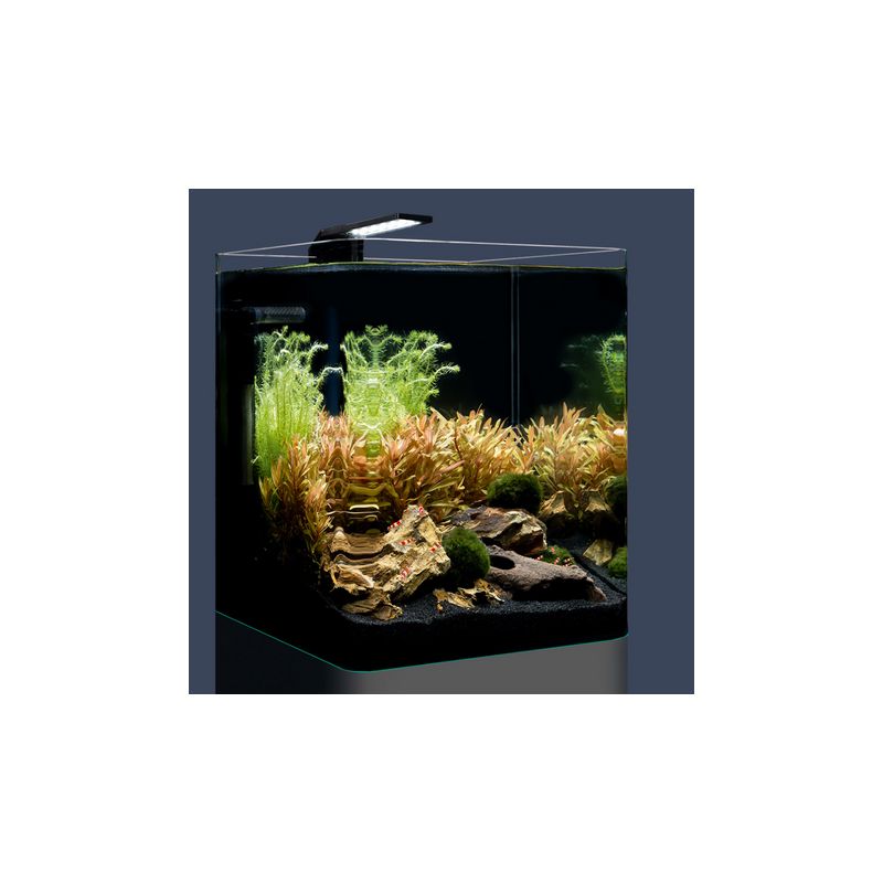 DENNERLE Nano Cube Complete+ 10 L nano-aquarium 20 x 20 x 25 cm avec  substrat, gravier, filtration et éclairage Nano Style LED S - Aquariums par  marques/Aquariums Dennerle -  - Aquariophilie