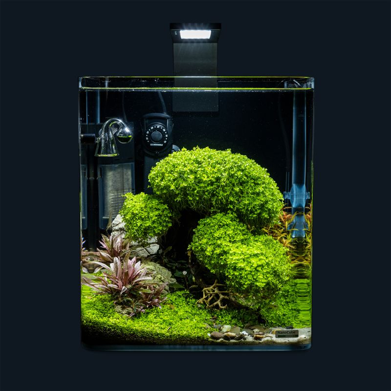 Dennerle - Fish Net - small  Aquasabi - Aquascaping Shop