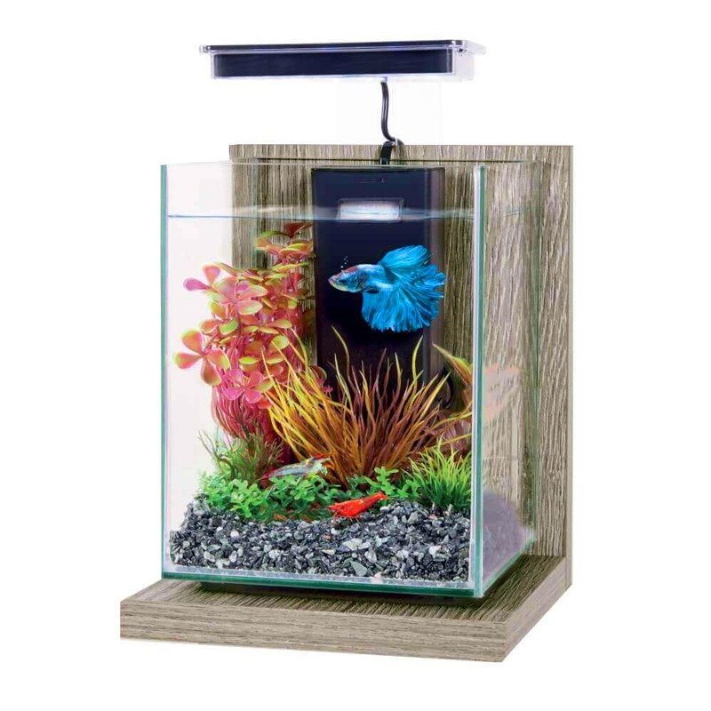 Acheter aquarium nano 20l zolux